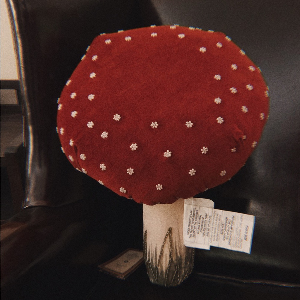 John Derian x Target Mushroom Pillow NWT